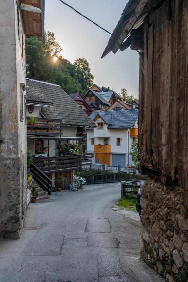 House Zupanc * Bohinj