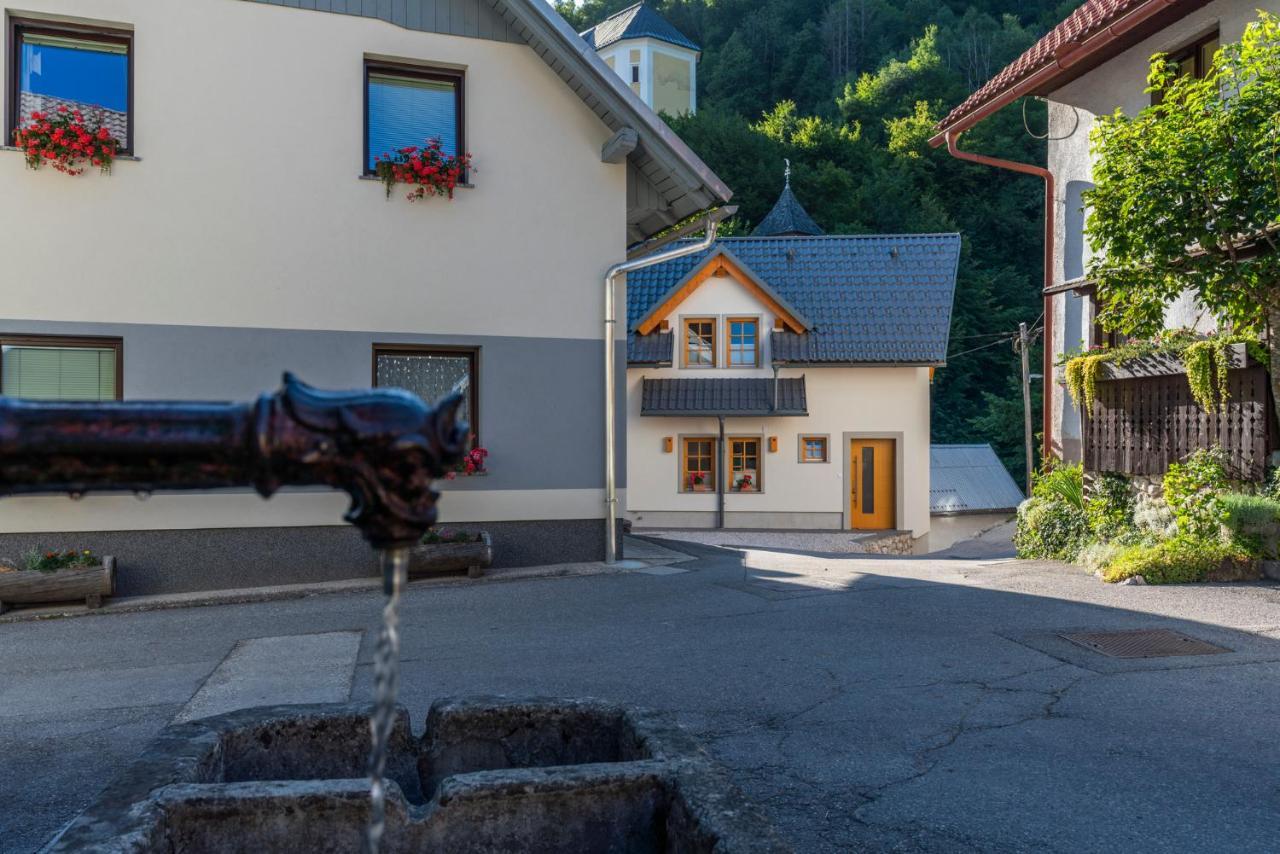 House Zupanc Holiday home Bohinj